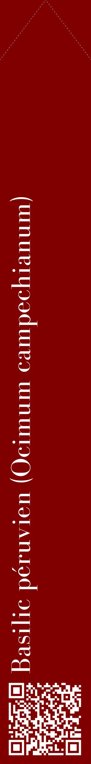 Étiquette de : Ocimum campechianum - format c - style blanche29_simplebod avec qrcode et comestibilité