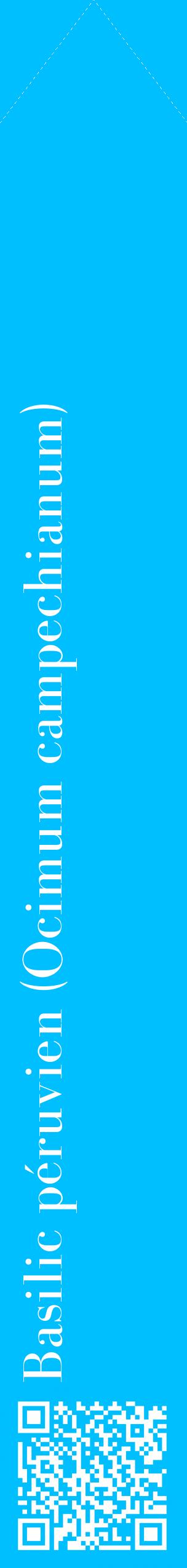 Étiquette de : Ocimum campechianum - format c - style blanche2_simplebod avec qrcode et comestibilité