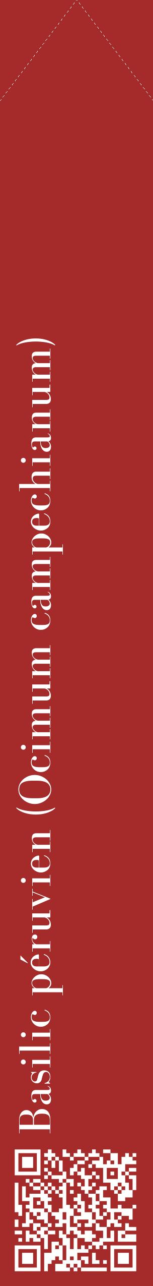 Étiquette de : Ocimum campechianum - format c - style blanche33_simplebod avec qrcode et comestibilité