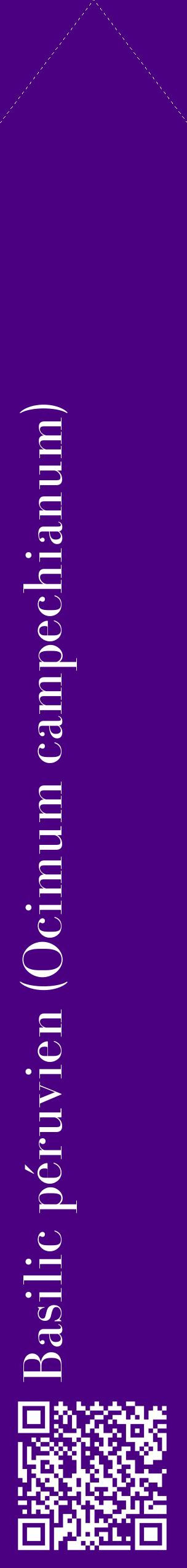 Étiquette de : Ocimum campechianum - format c - style blanche47_simplebod avec qrcode et comestibilité