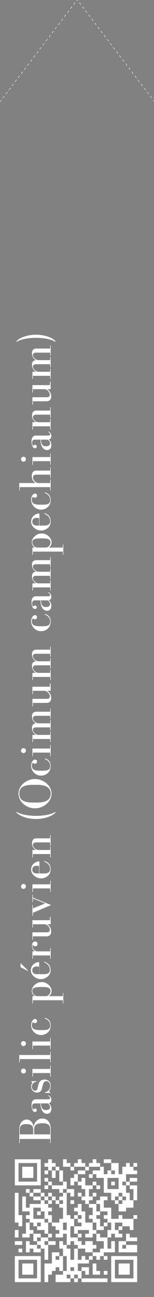 Étiquette de : Ocimum campechianum - format c - style blanche50_simple_simplebod avec qrcode et comestibilité - position verticale