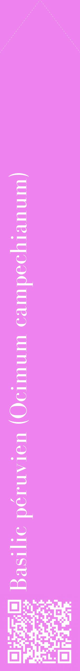 Étiquette de : Ocimum campechianum - format c - style blanche53_simplebod avec qrcode et comestibilité