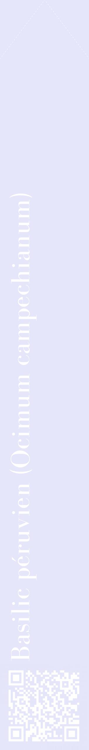 Étiquette de : Ocimum campechianum - format c - style blanche55_simplebod avec qrcode et comestibilité