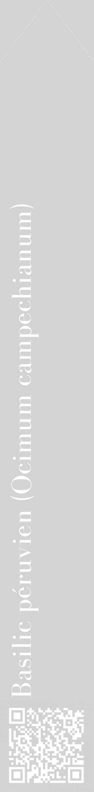Étiquette de : Ocimum campechianum - format c - style blanche56_simplebod avec qrcode et comestibilité