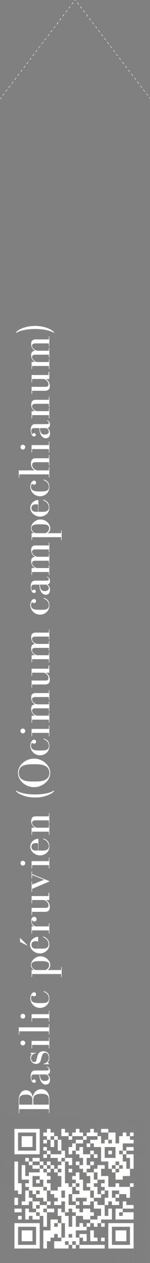 Étiquette de : Ocimum campechianum - format c - style blanche57_simplebod avec qrcode et comestibilité