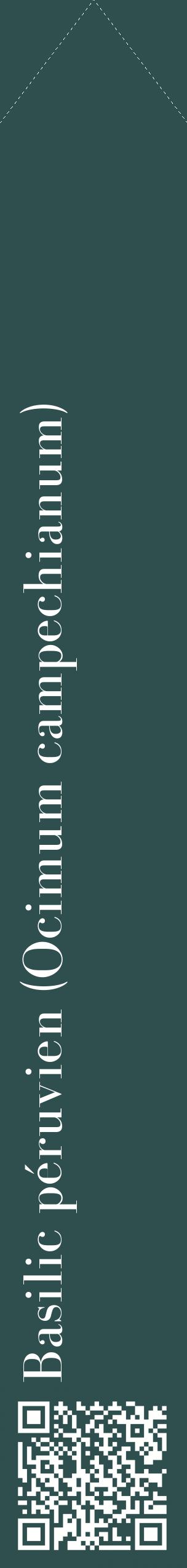 Étiquette de : Ocimum campechianum - format c - style blanche58_simplebod avec qrcode et comestibilité