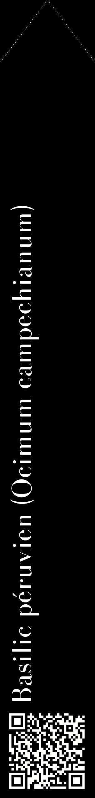 Étiquette de : Ocimum campechianum - format c - style blanche59_simplebod avec qrcode et comestibilité