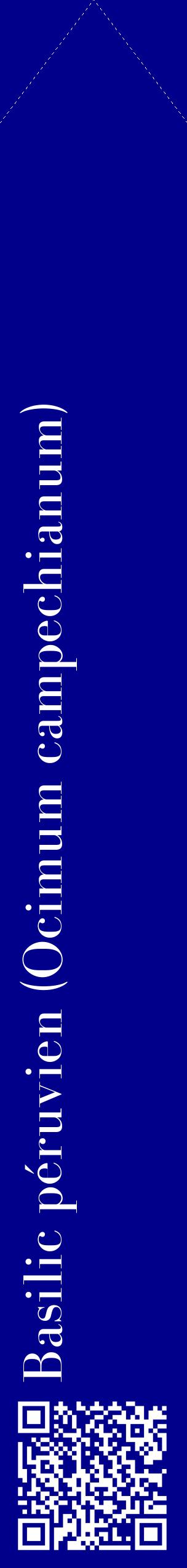 Étiquette de : Ocimum campechianum - format c - style blanche7_simplebod avec qrcode et comestibilité