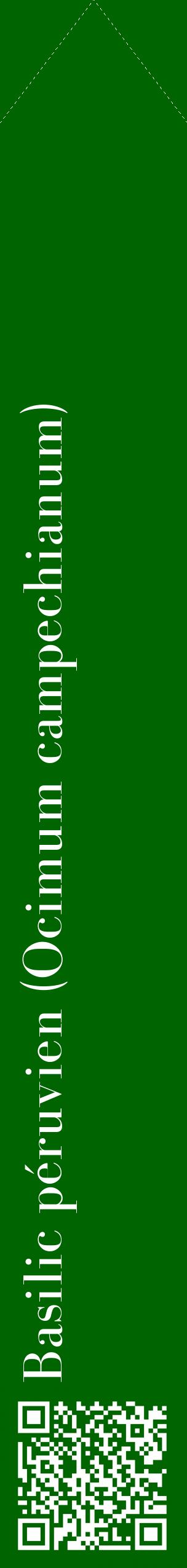 Étiquette de : Ocimum campechianum - format c - style blanche8_simplebod avec qrcode et comestibilité