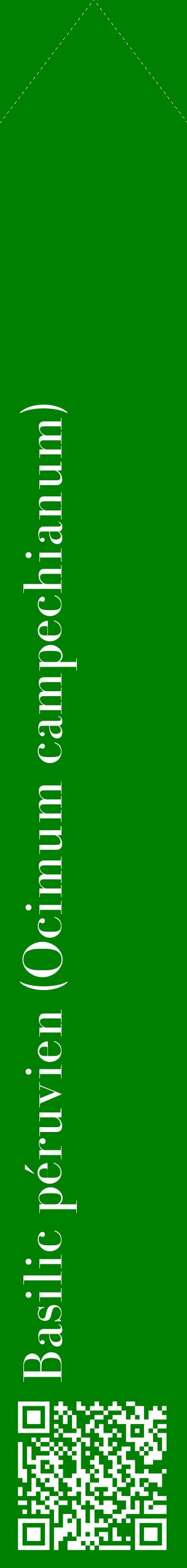 Étiquette de : Ocimum campechianum - format c - style blanche9_simplebod avec qrcode et comestibilité