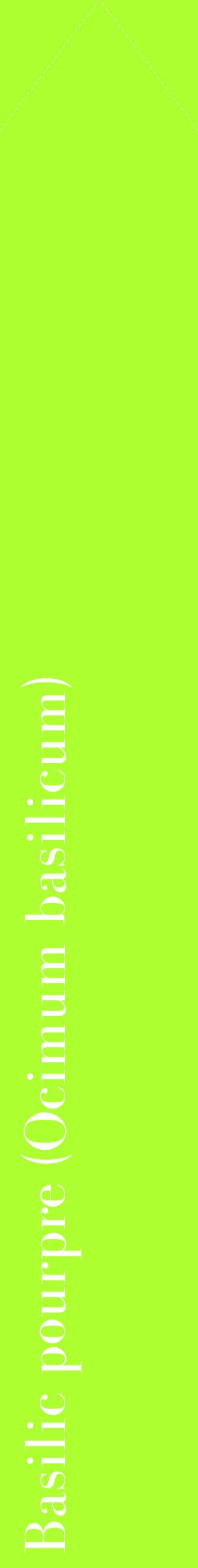 Étiquette de : Ocimum basilicum - format c - style blanche17_simplebod avec comestibilité