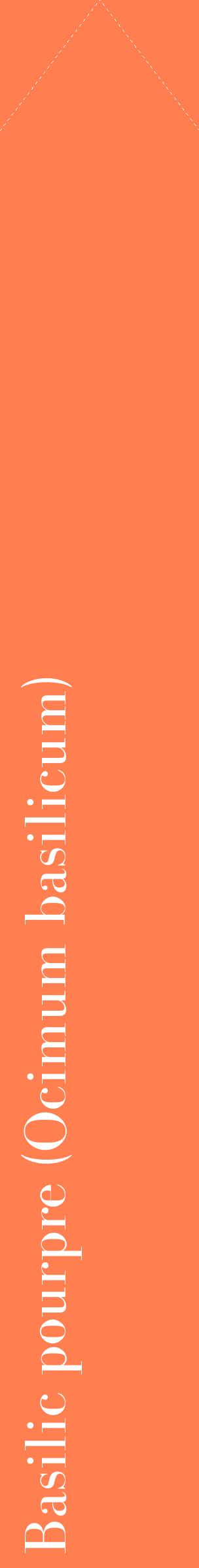 Étiquette de : Ocimum basilicum - format c - style blanche24_simplebod avec comestibilité