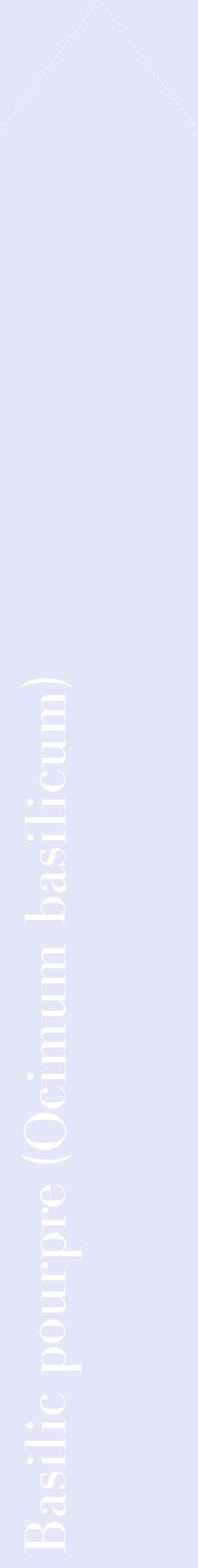 Étiquette de : Ocimum basilicum - format c - style blanche55_simplebod avec comestibilité