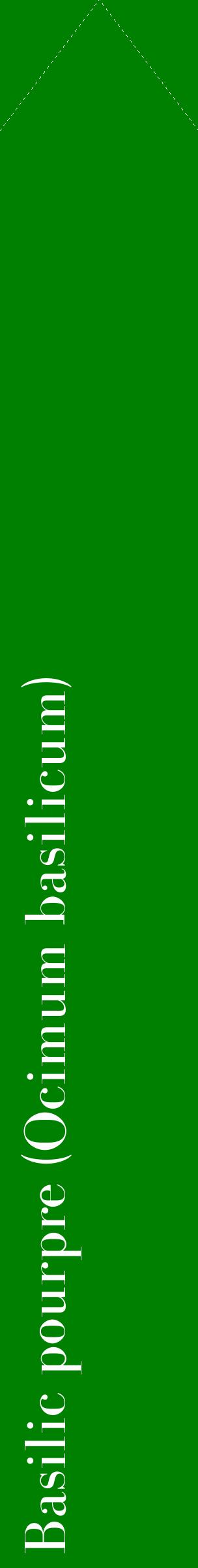 Étiquette de : Ocimum basilicum - format c - style blanche9_simplebod avec comestibilité