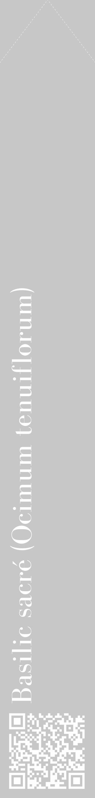 Étiquette de : Ocimum tenuiflorum - format c - style blanche15_simple_simplebod avec qrcode et comestibilité - position verticale