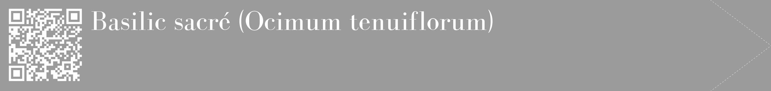 Étiquette de : Ocimum tenuiflorum - format c - style blanche52_simple_simplebod avec qrcode et comestibilité
