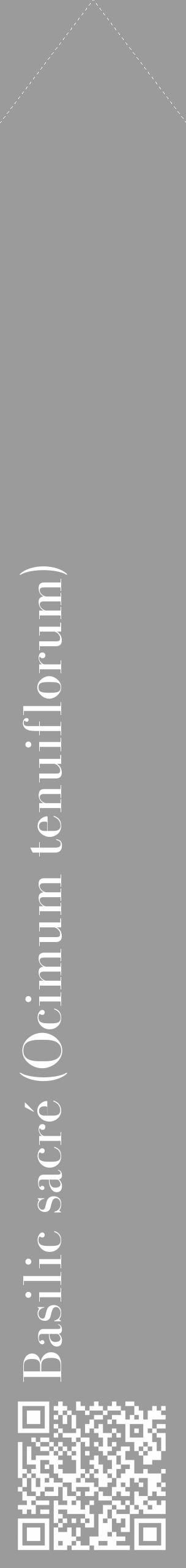 Étiquette de : Ocimum tenuiflorum - format c - style blanche52_simple_simplebod avec qrcode et comestibilité - position verticale