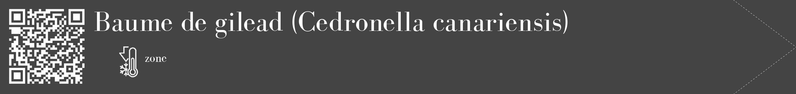 Étiquette de : Cedronella canariensis - format c - style blanche48_simple_simplebod avec qrcode et comestibilité