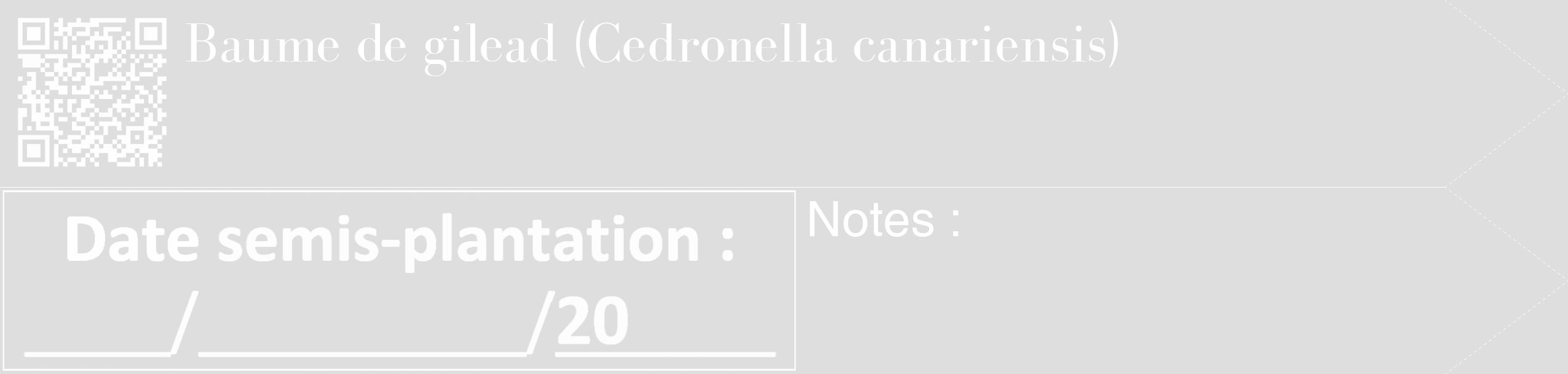 Étiquette de : Cedronella canariensis - format c - style blanche20_simple_simplebod avec qrcode et comestibilité