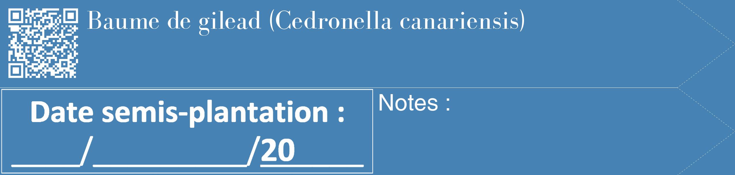 Étiquette de : Cedronella canariensis - format c - style blanche5_simple_simplebod avec qrcode et comestibilité