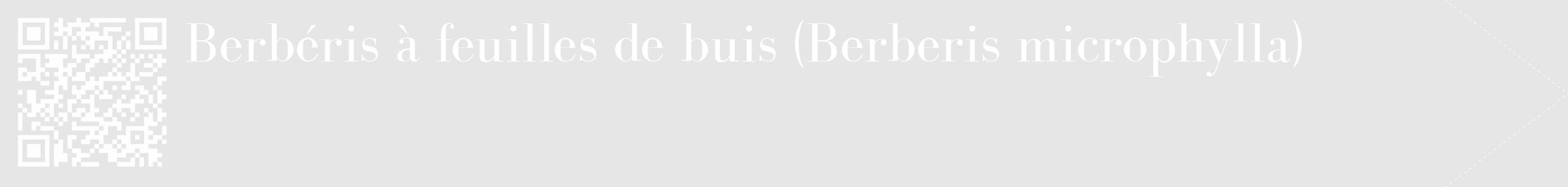 Étiquette de : Berberis microphylla - format c - style blanche18_simple_simplebod avec qrcode et comestibilité