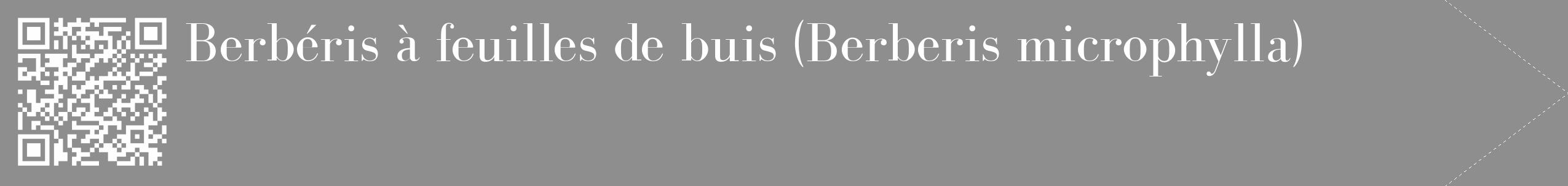 Étiquette de : Berberis microphylla - format c - style blanche25_simple_simplebod avec qrcode et comestibilité
