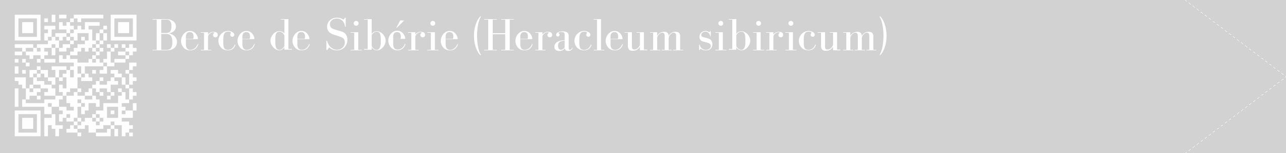 Étiquette de : Heracleum sibiricum - format c - style blanche14_simple_simplebod avec qrcode et comestibilité