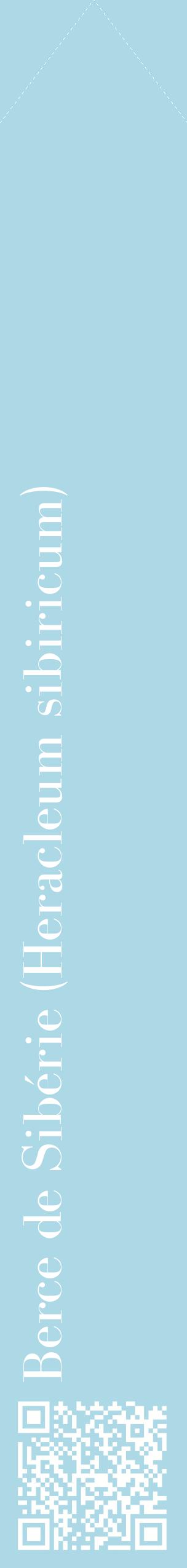 Étiquette de : Heracleum sibiricum - format c - style blanche0_simplebod avec qrcode et comestibilité