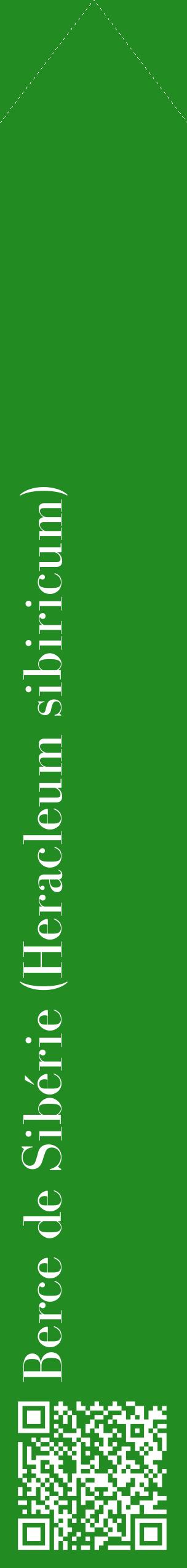 Étiquette de : Heracleum sibiricum - format c - style blanche10_simplebod avec qrcode et comestibilité