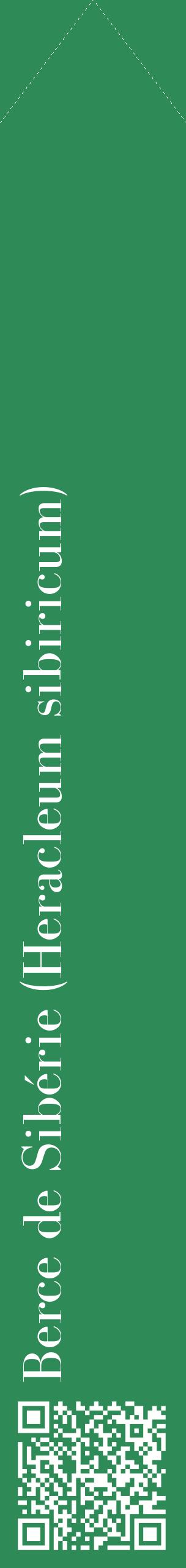 Étiquette de : Heracleum sibiricum - format c - style blanche11_simplebod avec qrcode et comestibilité