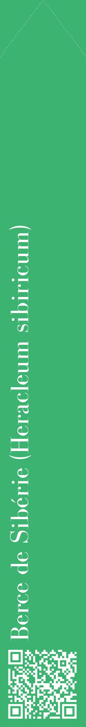 Étiquette de : Heracleum sibiricum - format c - style blanche12_simplebod avec qrcode et comestibilité