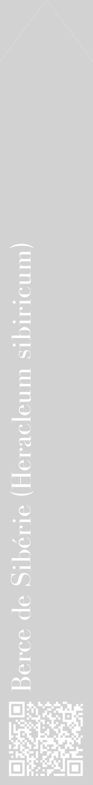 Étiquette de : Heracleum sibiricum - format c - style blanche14_simple_simplebod avec qrcode et comestibilité - position verticale