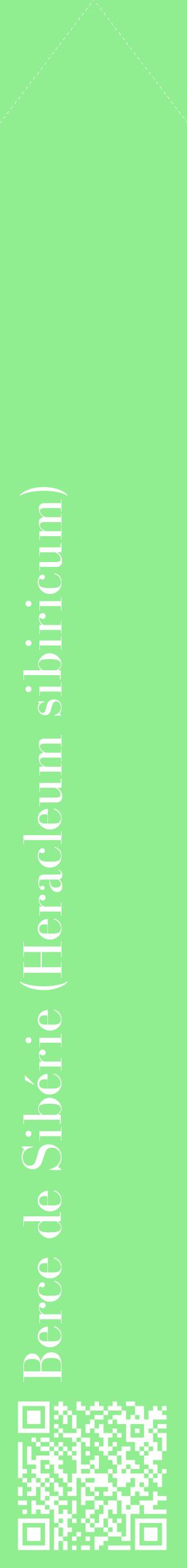 Étiquette de : Heracleum sibiricum - format c - style blanche15_simplebod avec qrcode et comestibilité