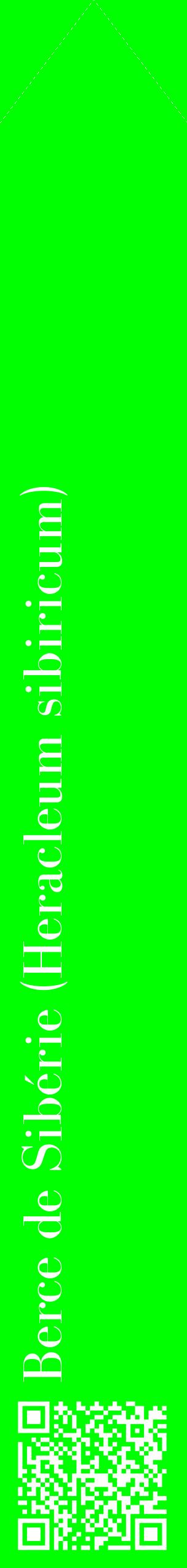 Étiquette de : Heracleum sibiricum - format c - style blanche16_simplebod avec qrcode et comestibilité