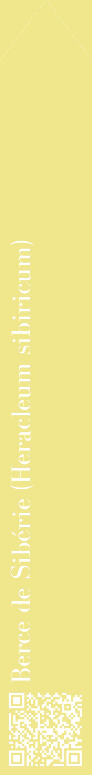 Étiquette de : Heracleum sibiricum - format c - style blanche20_simplebod avec qrcode et comestibilité