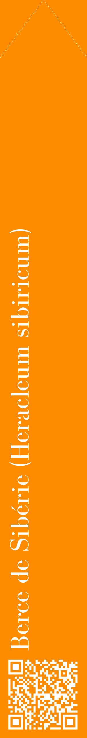 Étiquette de : Heracleum sibiricum - format c - style blanche23_simplebod avec qrcode et comestibilité