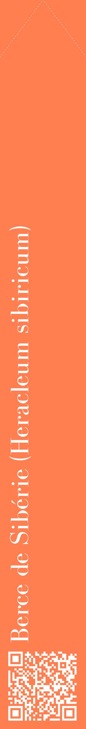 Étiquette de : Heracleum sibiricum - format c - style blanche24_simplebod avec qrcode et comestibilité