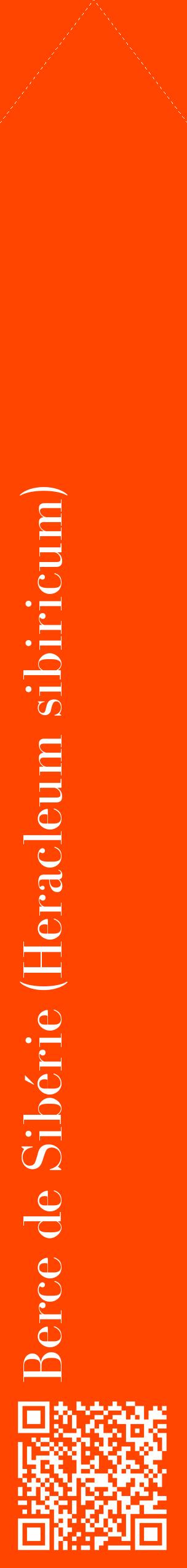 Étiquette de : Heracleum sibiricum - format c - style blanche26_simplebod avec qrcode et comestibilité