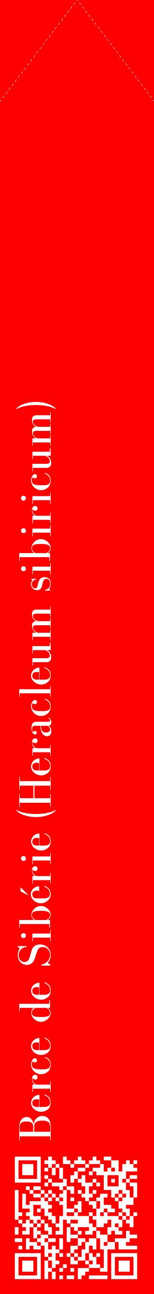 Étiquette de : Heracleum sibiricum - format c - style blanche27_simplebod avec qrcode et comestibilité