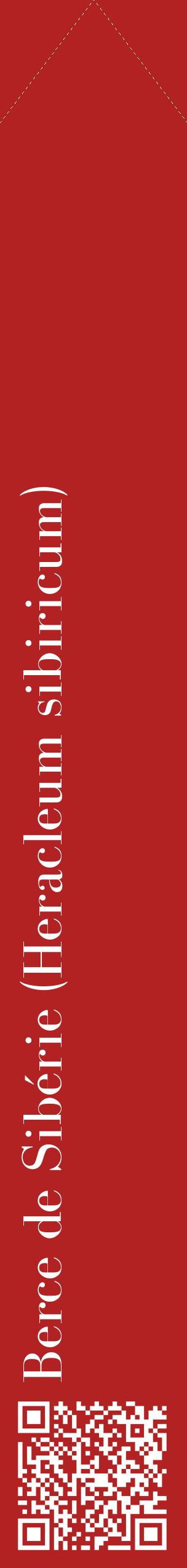 Étiquette de : Heracleum sibiricum - format c - style blanche28_simplebod avec qrcode et comestibilité