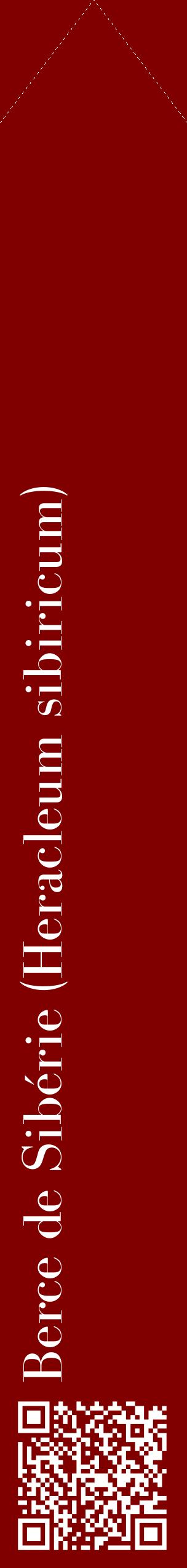 Étiquette de : Heracleum sibiricum - format c - style blanche29_simplebod avec qrcode et comestibilité