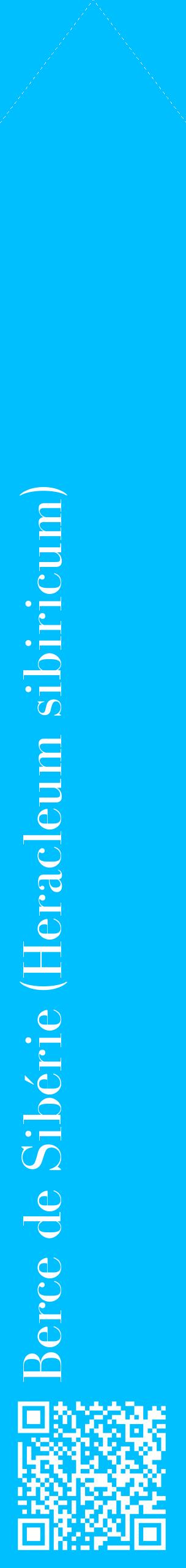 Étiquette de : Heracleum sibiricum - format c - style blanche2_simplebod avec qrcode et comestibilité