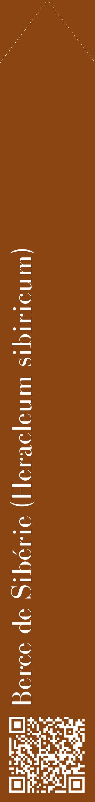 Étiquette de : Heracleum sibiricum - format c - style blanche30_simplebod avec qrcode et comestibilité