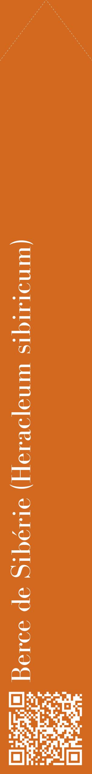 Étiquette de : Heracleum sibiricum - format c - style blanche31_simplebod avec qrcode et comestibilité