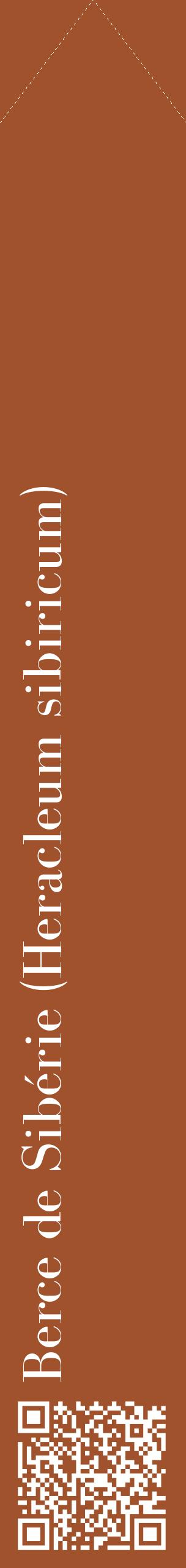 Étiquette de : Heracleum sibiricum - format c - style blanche32_simplebod avec qrcode et comestibilité