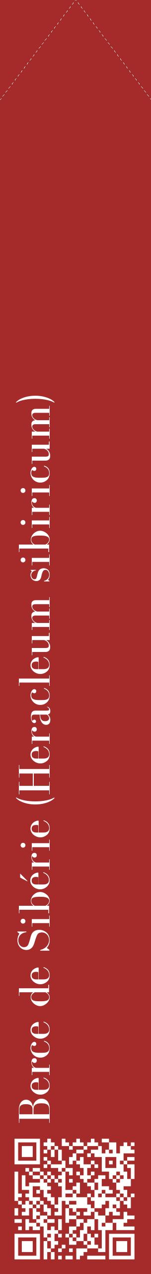 Étiquette de : Heracleum sibiricum - format c - style blanche33_simplebod avec qrcode et comestibilité