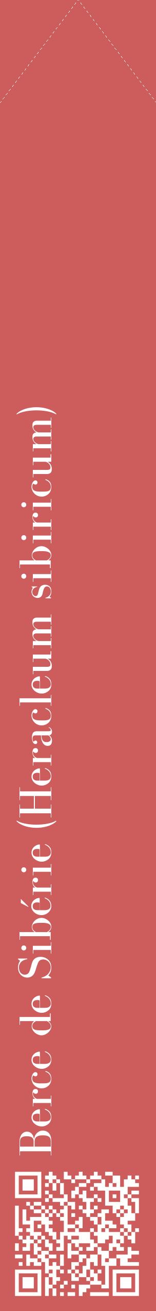 Étiquette de : Heracleum sibiricum - format c - style blanche35_simplebod avec qrcode et comestibilité