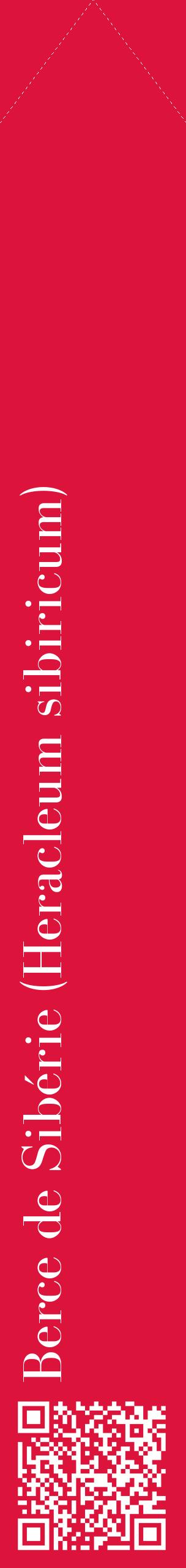Étiquette de : Heracleum sibiricum - format c - style blanche36_simplebod avec qrcode et comestibilité