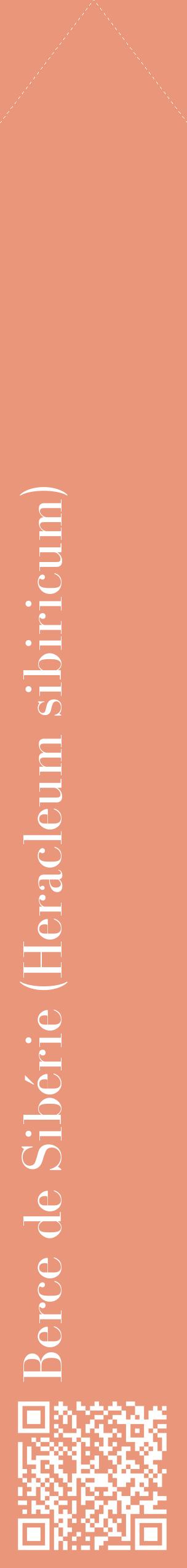 Étiquette de : Heracleum sibiricum - format c - style blanche37_simplebod avec qrcode et comestibilité