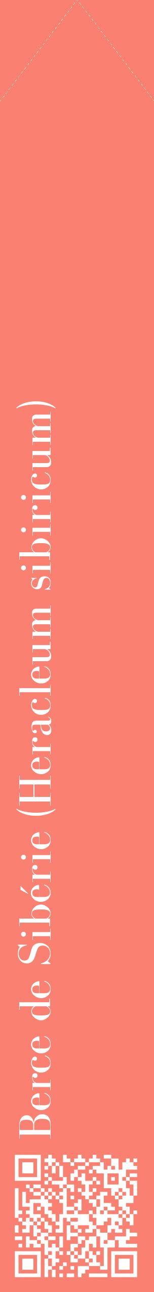 Étiquette de : Heracleum sibiricum - format c - style blanche38_simplebod avec qrcode et comestibilité